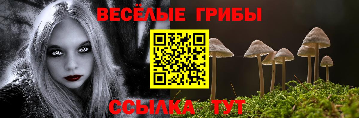 хочу наркоту  Вход с VPN  Топки  Псилоцибиновые грибы Magic Shrooms 